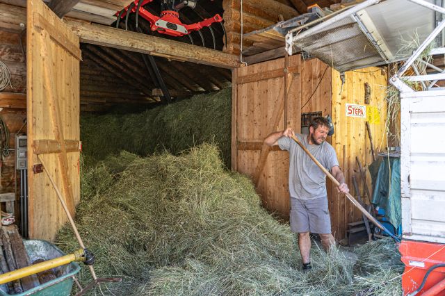 Bild: Estate in Alta Badia