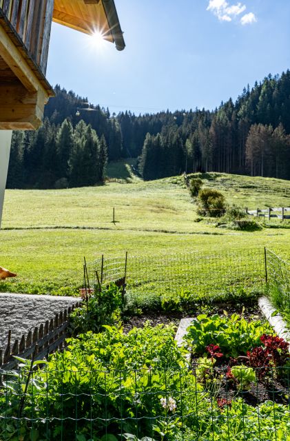 Bild: Estate in Alta Badia