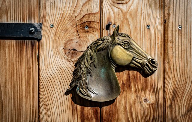 Bild: Apartments Pré Calalt